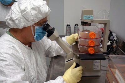 a person in protective disposable lab clothing covers, gloves, and eyewear looks into a microscope.